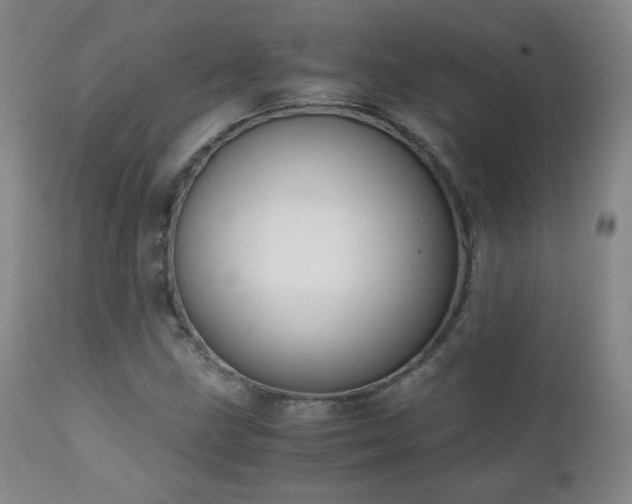X0000111151211200906301329