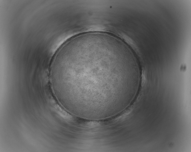 X0000111151212200906301329