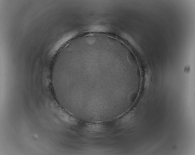 X0000111151213200906301329