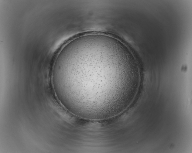X0000111151214200906301329