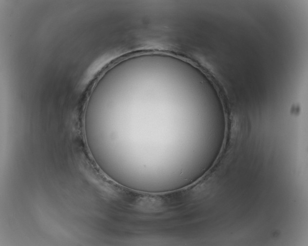 X0000111151215200906301329