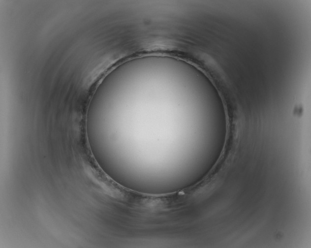 X0000111151217200906301329