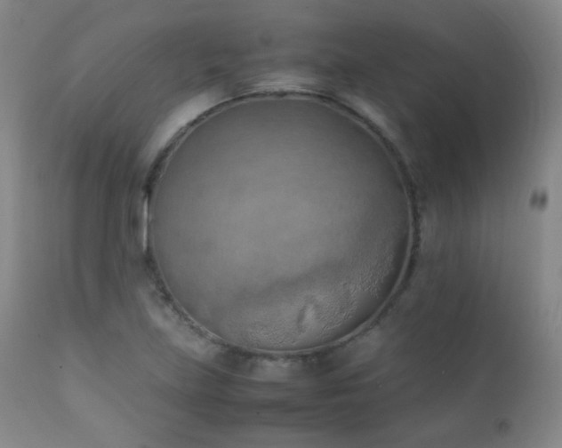 X0000111151219200906301329