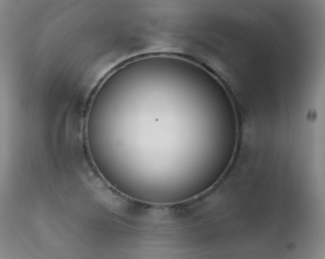 X0000111151220200906301329