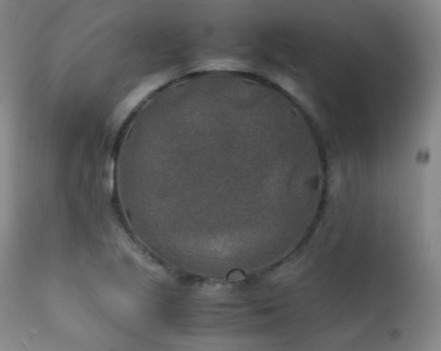 X0000111151221200906301329