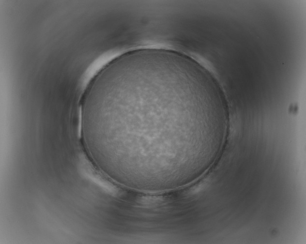 X0000111151223200906301329