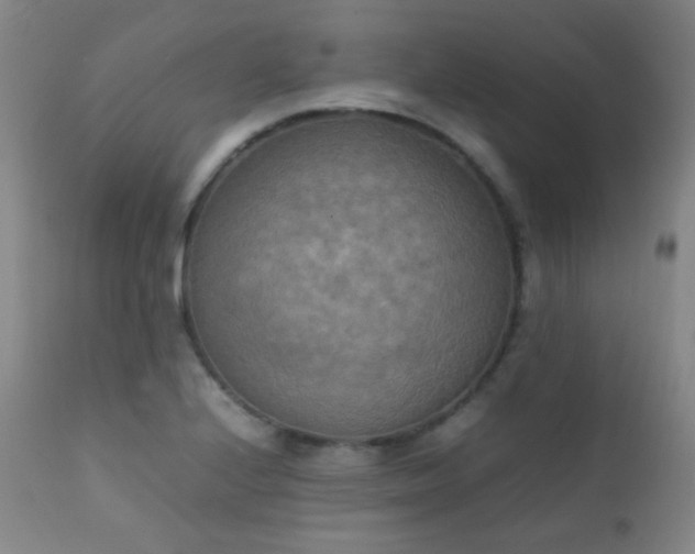 X0000111151224200906301329