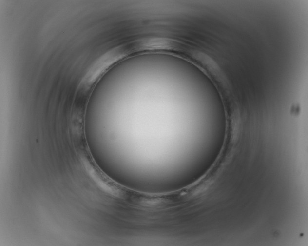 X0000111151225200906301329