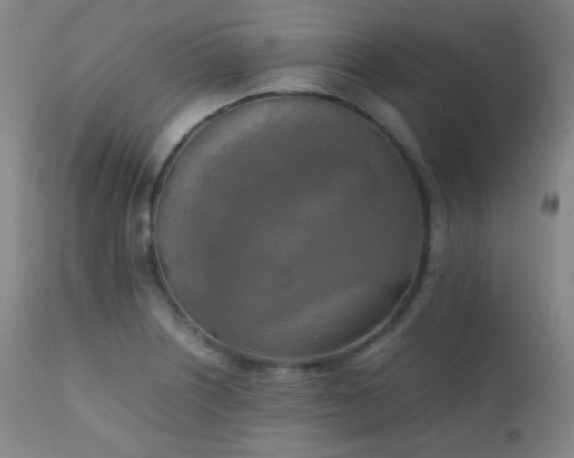 X0000111151226200906301329