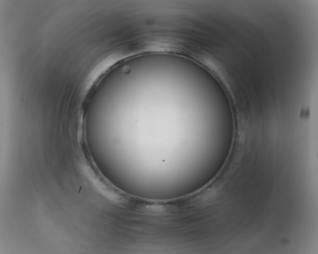 X0000111151227200906301329