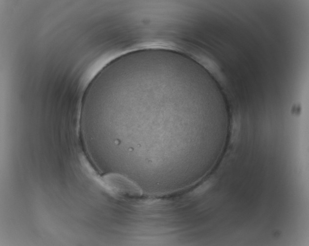 X0000111151228200906301329