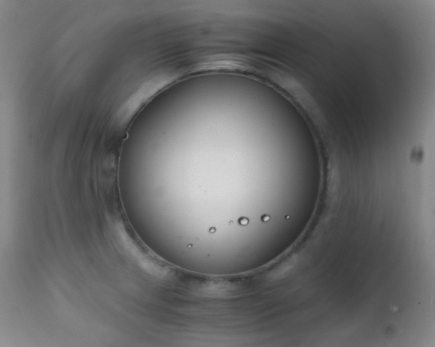 X0000111151233200906301330