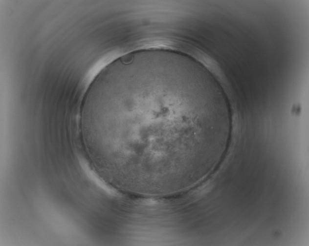 X0000111151234200906301330