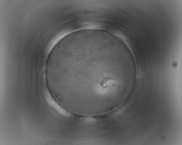 X0000111151235200906301330