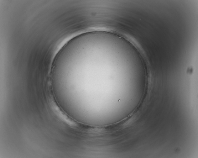 X0000111151236200906301330