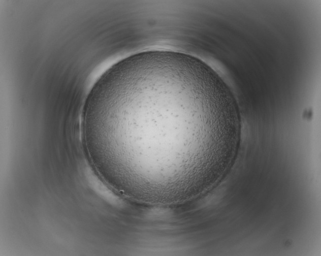 X0000111151238200906301330