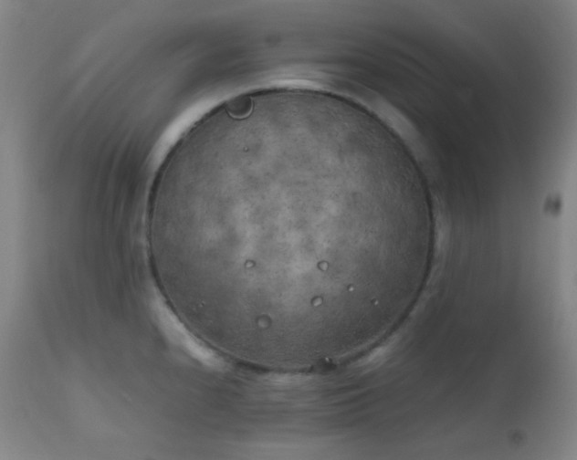 X0000111151240200906301330