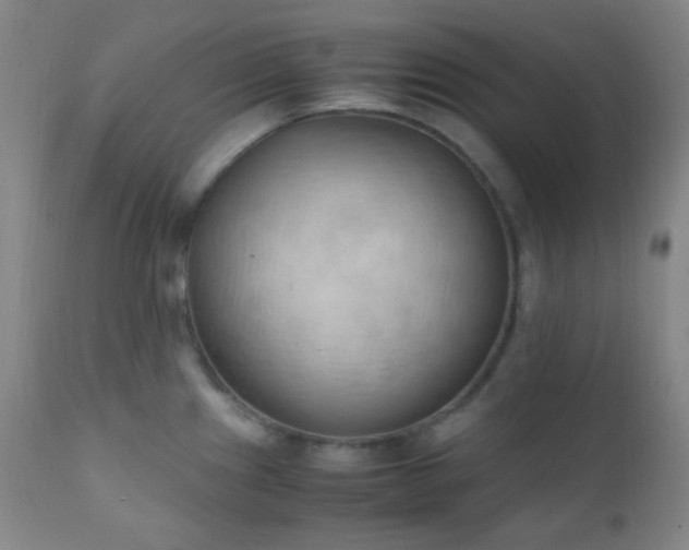 X0000111151241200906301330