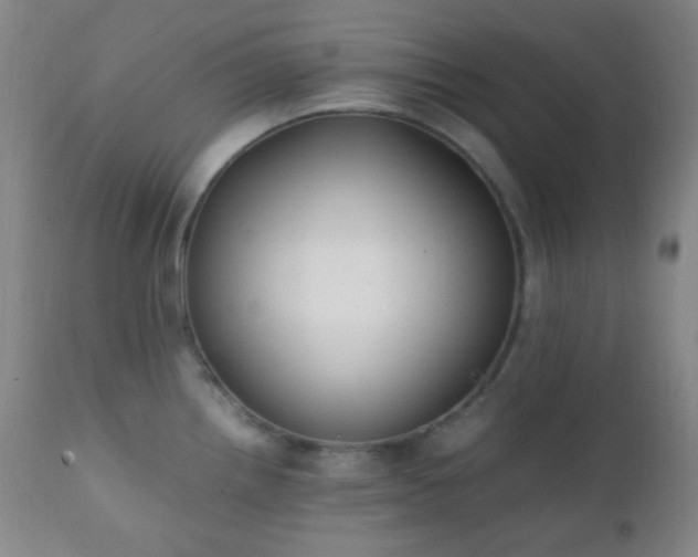 X0000111151242200906301330