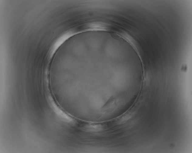 X0000111151243200906301330