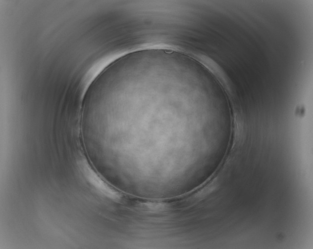 X0000111151244200906301330