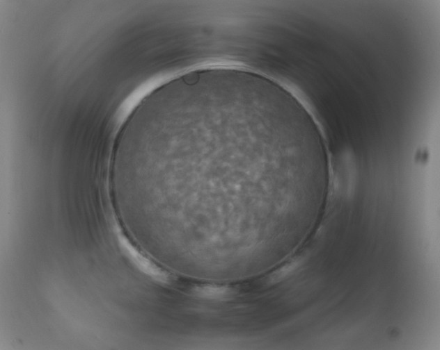 X0000111151245200906301330