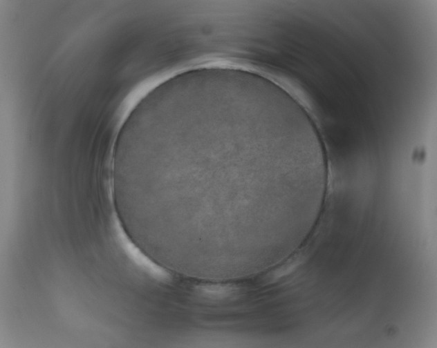 X0000111151247200906301330