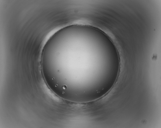 X0000111151248200906301330