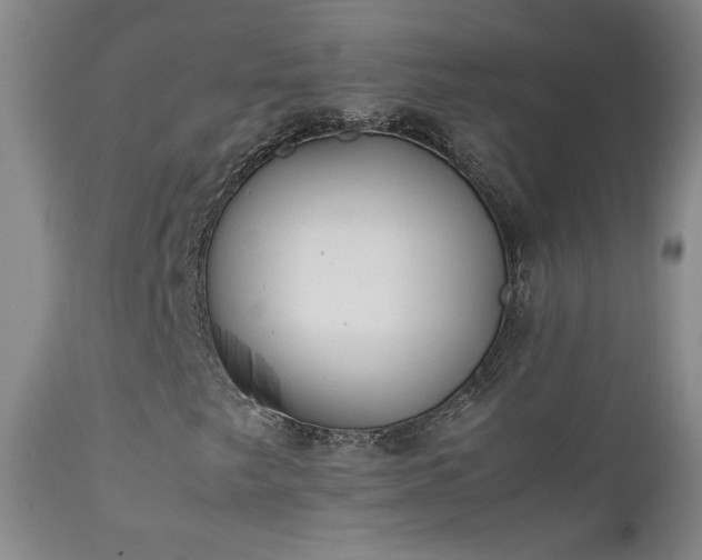 X0000111151249200906301329