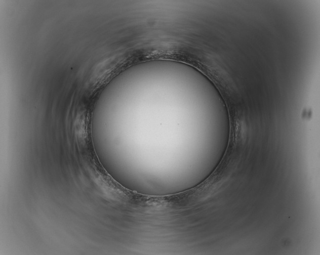 X0000111151250200906301329