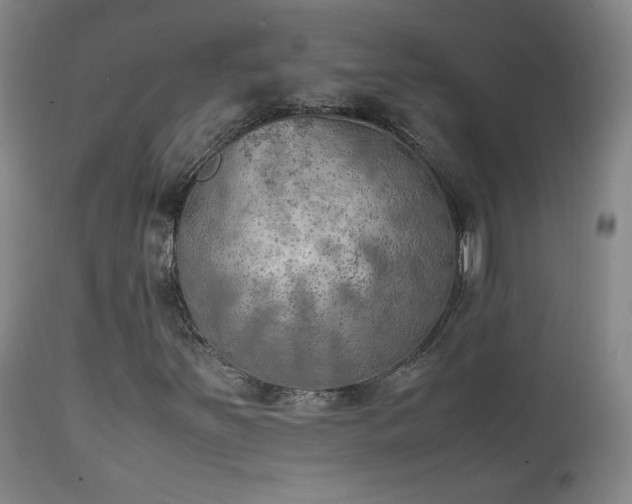 X0000111151251200906301329