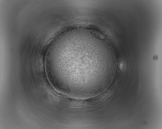 X0000111151252200906301329