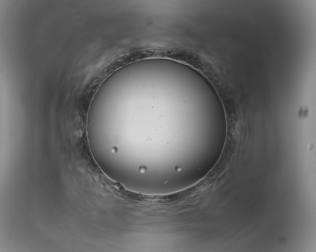 X0000111151253200906301329