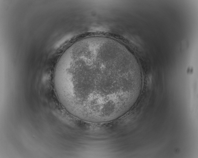 X0000111151254200906301329