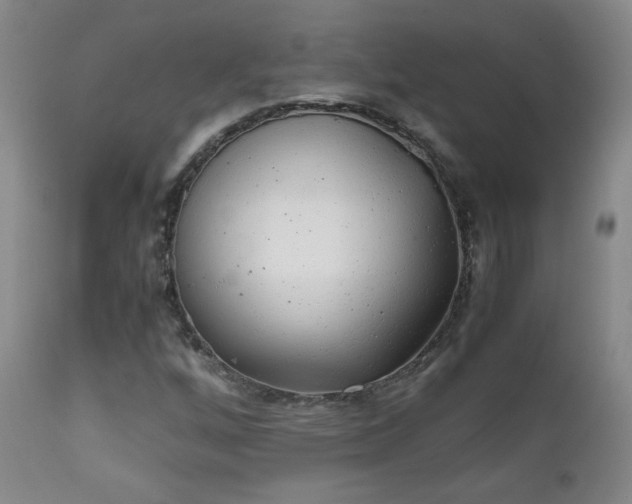 X0000111151256200906301329