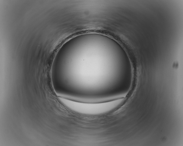 X0000111151257200906301329