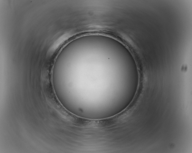 X0000111151259200906301329