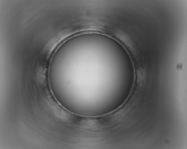 X0000111151260200906301329