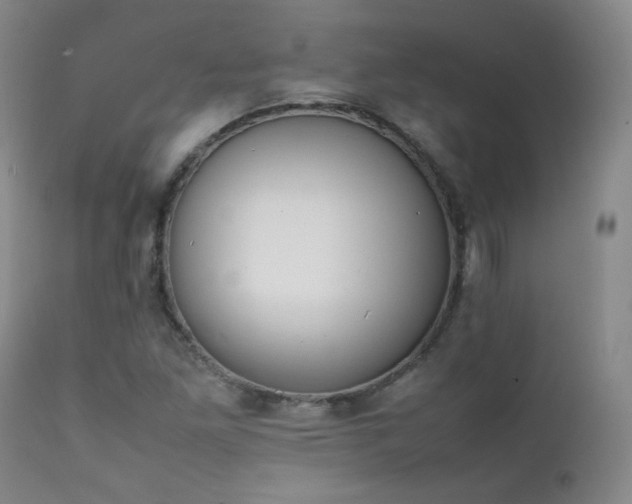 X0000111151261200906301329