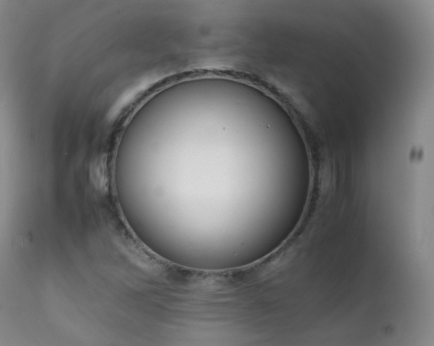 X0000111151262200906301329