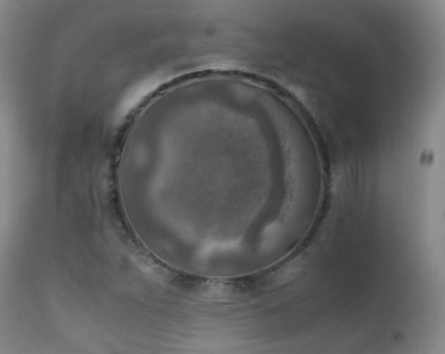 X0000111151263200906301329