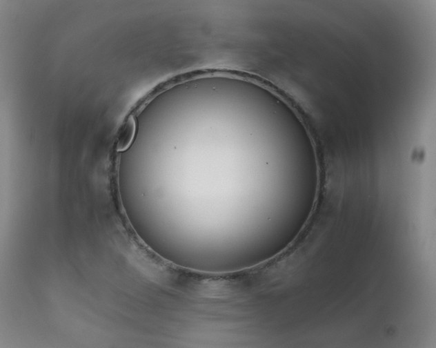 X0000111151264200906301329