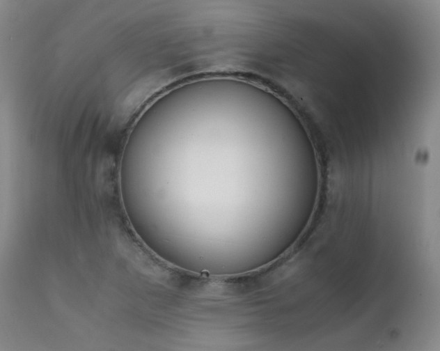 X0000111151265200906301329
