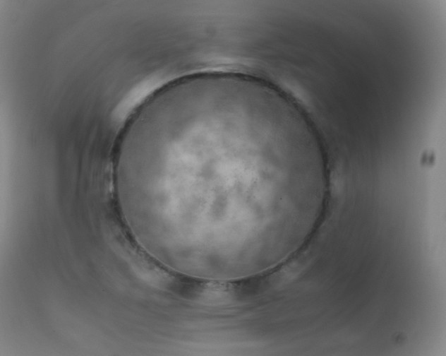 X0000111151267200906301329