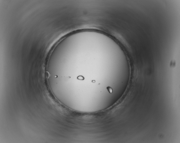 X0000111151268200906301329