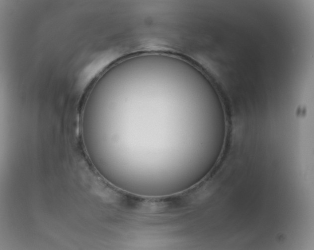 X0000111151269200906301329