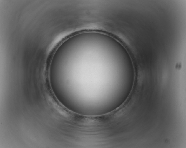 X0000111151270200906301329
