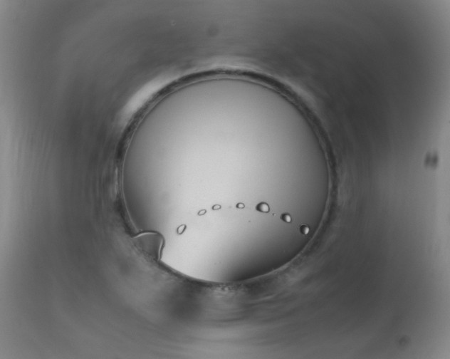 X0000111151271200906301329