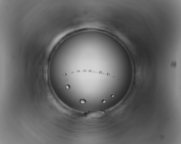 X0000111151272200906301329