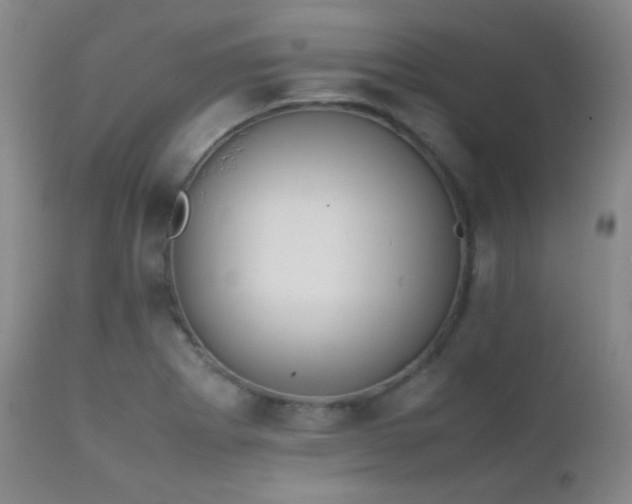 X0000111151273200906301329